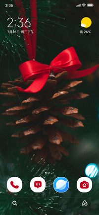 Pine Closeup