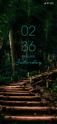 Bridge forest fi