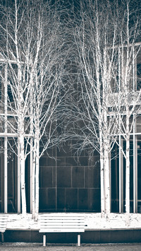 life (7)