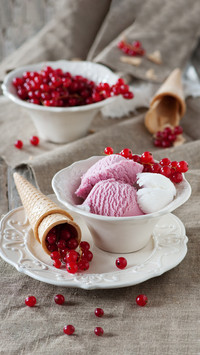 Home made delicious ice cream 8