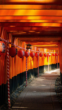 京都古朴风情好去处