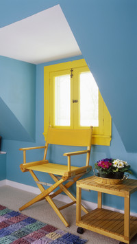 Jumping yellow and blue 48