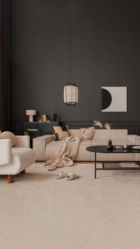 Asthetic living room interior with a mock - up poster frame