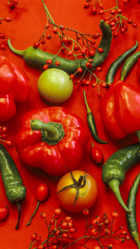 An arrangement of peppers chilis tomatoes and rosehips