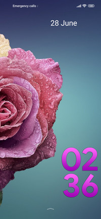 flower love