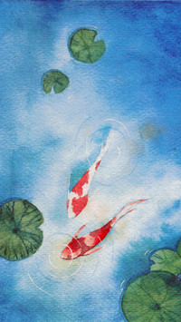 Lucky Koi Fish Illustration