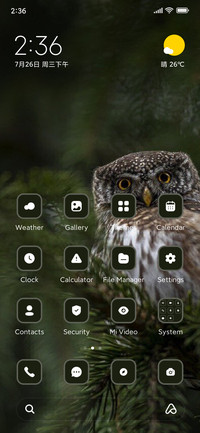 Owl