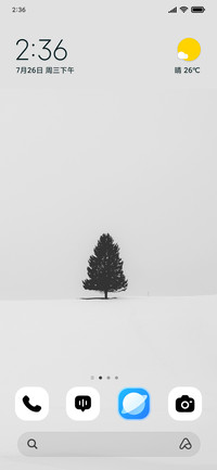 Snow Pine