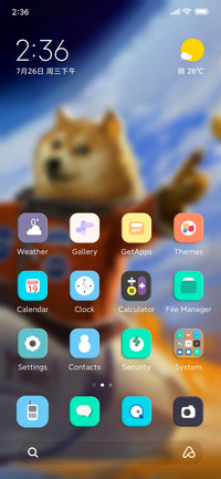DOGE Galaxy