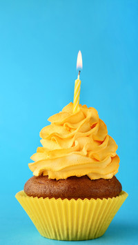 Colourful Cake-PAIXIN