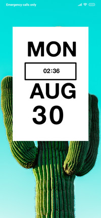 Plant Cactus