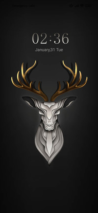 Deer Life