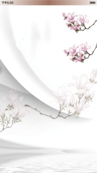 玉兰花