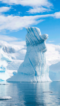 Polar glaciers