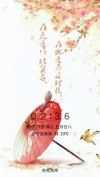 比翼双飞