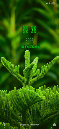 Green Carlo