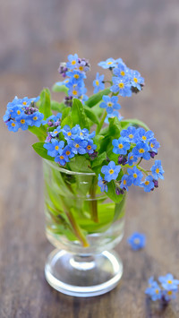 花样年华