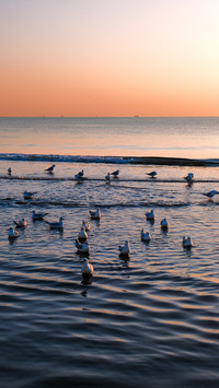 Beautiful scenery