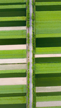 Busy summer farming season