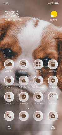 Cute Puppy