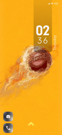 Cricket_6