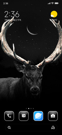 Deer