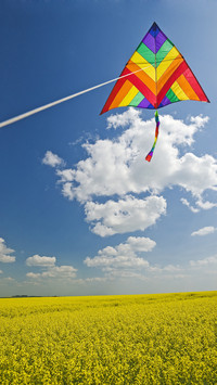 india-kite