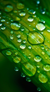 Droplets (40)