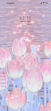 Gravity Tulip