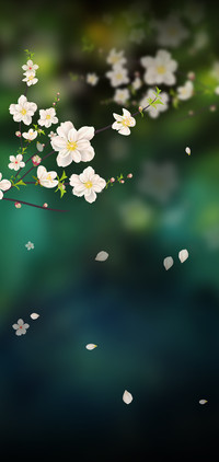 蜂鸟唯美落花