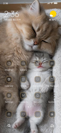 Kitten Family