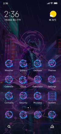 Cyber Ninja