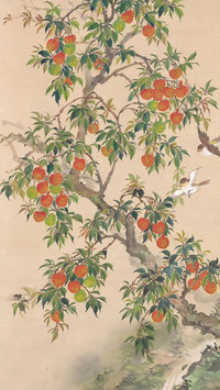 国风花鸟壁纸-锐景创意