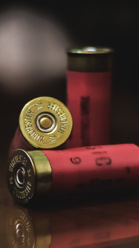 Guns (1)