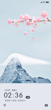 云上花开