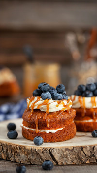 A tutorial on delicious but not fat cakes