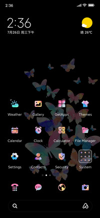 Colorful butterfly