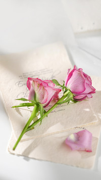 Purple Rose