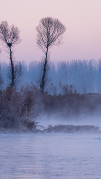 Sunrise at Swan Bay in the fog