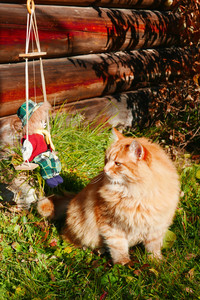 Cat and clown.jpg