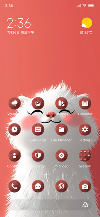 Fluffy Cat