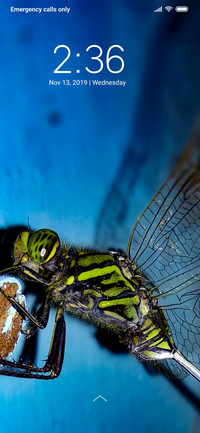 Dragon Fly_DWM3