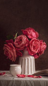 What kind of fertilizer is good for roses