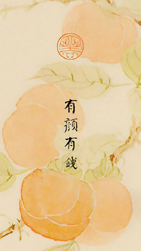我的世界我做主