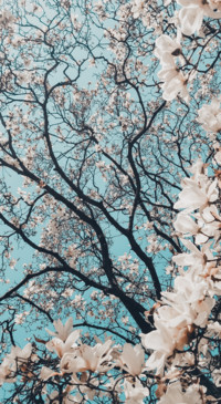 Floral B1 (10)