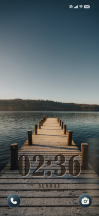 Wooden Reverie