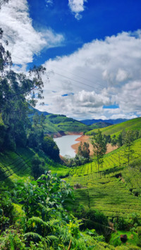 Tasmiya Banu