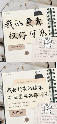 我的爱意仅你可见