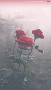 玫瑰花