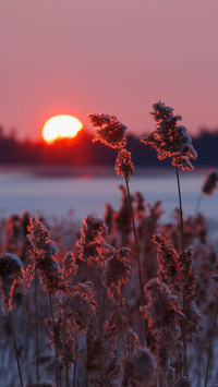 How beautiful are the 24 solar terms in China